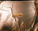 簡単！秋鮭のホイル焼き♪作り方3写真