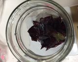 高級ぶどうの皮で 自家製酵母から中種へ作り方1写真