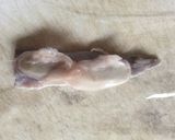 サンマのスティックおにぎり作り方2写真