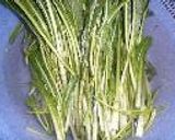 壬生菜のお漬物作り方1写真