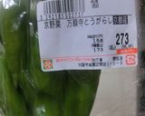 シシトウガラシと真タコのパスタ　　作り方1写真