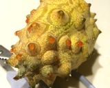 キワーノ(キワノ)の切り方作り方11写真
