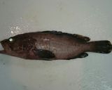 アコウの煮付け (釣った魚を簡単料理)作り方2写真