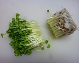 山芋納豆作り方3写真