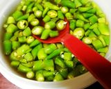 野菜たっぷりベジ餃子作り方8写真