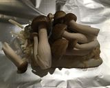 サバの西京漬で簡単ホイル焼き作り方3写真