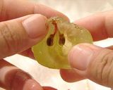 ★　果実たっぷりの巨峰ゼリー　★作り方5写真