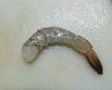 ふわっふわのエビの天ぷら(下処理含む)作り方1写真