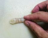 ふわっふわのエビの天ぷら(下処理含む)作り方6写真