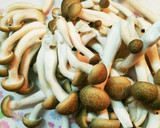 簡単！ピーマンともやしの豚肉みそ炒め作り方4写真