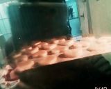 簡単クッキー作り方5写真