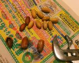 どんぐりクッキー マテバシイ作り方3写真