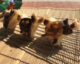 ハロウィンデコ✿黒猫ちゃんが通る作り方10写真