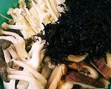 常備菜！きのこ&大豆&こんにゃくの煮物作り方4写真