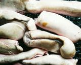 ☆鮭の白子と大根お煮付け作り方1写真