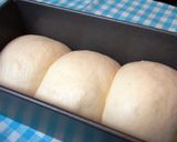 25分の発酵でOK!ふんわり湯だねパン作り方8写真