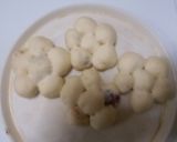 しあわせのお花丸パン作り方6写真