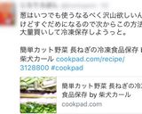 簡単カット野菜 長ねぎの冷凍食品保存作り方7写真