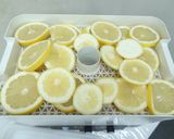食品乾燥機でドライグレープフルーツ作り作り方3写真