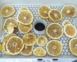 食品乾燥機でドライグレープフルーツ作り作り方4写真