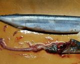 秋刀魚のコチュジャン煮付け。作り方3写真