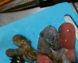 イイダコの刺身(生)作り方4写真