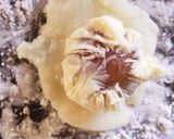 フルーツ大福withチーズクリーム作り方15写真
