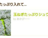 玉ねぎたっぷりシュウマイ作り方9写真