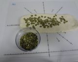 手捏ね スティックパン作り方10写真