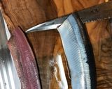 秋刀魚の大名おろし作り方5写真