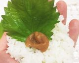 お弁当にお勧め＊大葉と梅のお握り作り方1写真