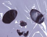 スライス生チョコレートdeパンダパン作り方1写真