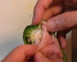 ずぼら美味い！ピーマン肉詰め作り方3写真
