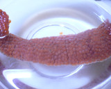 めっちゃ簡単♪「いくらの醤油漬け」作り方3写真