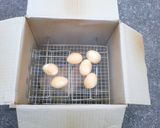 段ボールで簡単！スピード燻製作り方20写真