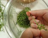 シソの実の醤油漬け作り方4写真