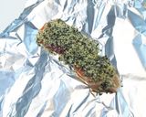 シークヮーサー&青みかんで鮭の香草焼き作り方4写真