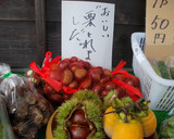 飛騨のお菓子　栗きんとん作り方1写真