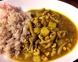 本格スパイスで作る！ふつうのカレー作り方19写真