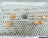 アボカドの種を乾燥｜食品乾燥機ドラミニ作り方2写真