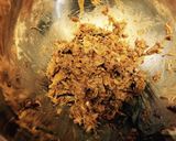 鯖味噌缶で鯖丼(*´∀｀*)♡作り方1写真