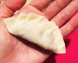 ひき肉の味付けがキメテ♪羽根つき餃子✨作り方4写真