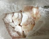 フライパンひとつdeむね肉がうまい鶏マヨ作り方3写真