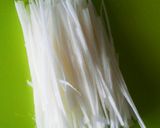 きのことたっぷり野菜の油揚げ北京ダック作り方8写真