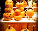 ハロウィン★丸ごとかぼちゃの濃厚シチュー作り方16写真