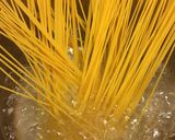 焼き茄子のパスタ作り方6写真