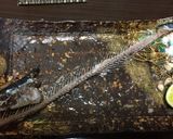 さんま塩焼き　お子様でもキレイに食べれる作り方11写真