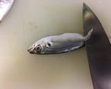 アジの開き方（背開き）作り方1写真