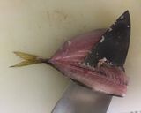 アジの開き方（背開き）作り方6写真