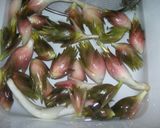リンゴ酢でさっぱり　みょうがの甘酢漬け作り方1写真